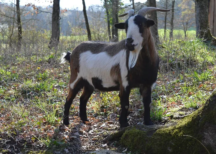 Tatil Evi - Noyers - Proche Sarlat *